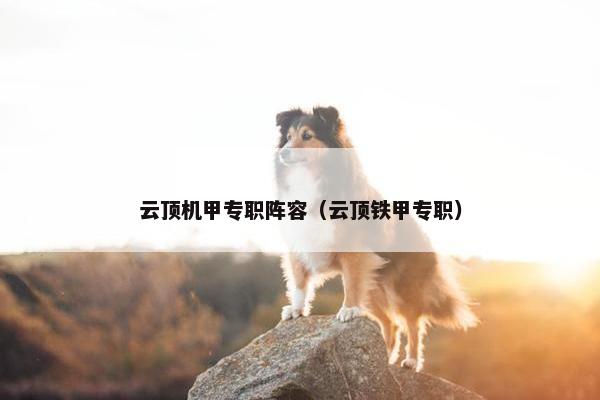 云顶机甲专职阵容(云顶铁甲专职) 云顶机甲专职阵容(云顶铁甲专职)