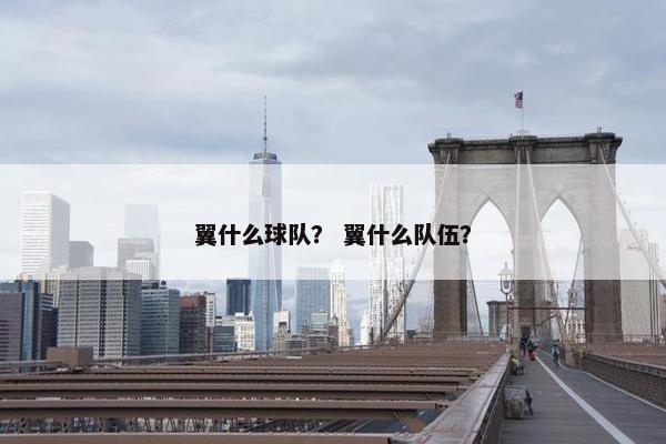 翼什么球队? 翼什么队伍? 翼什么球队? 翼什么队伍?
