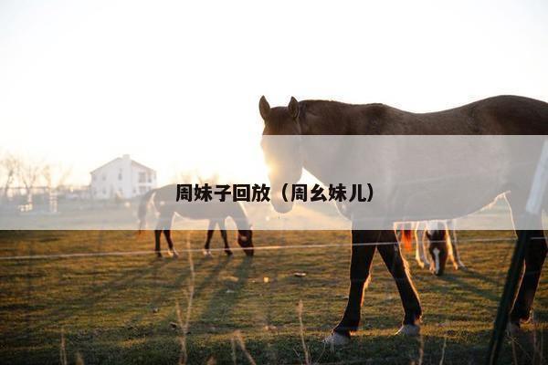 周妹子回放(周幺妹儿) 周妹子回放(周幺妹儿)