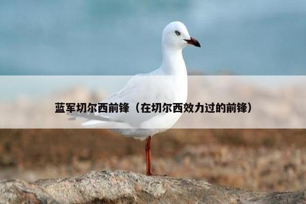 蓝军切尔西前锋(在切尔西效力过的前锋) 蓝军切尔西前锋(在切尔西效力过的前锋)