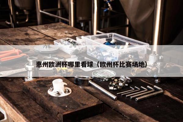 惠州欧洲杯哪里看球(欧州杯比赛场地) 惠州欧洲杯哪里看球(欧州杯比赛场地)