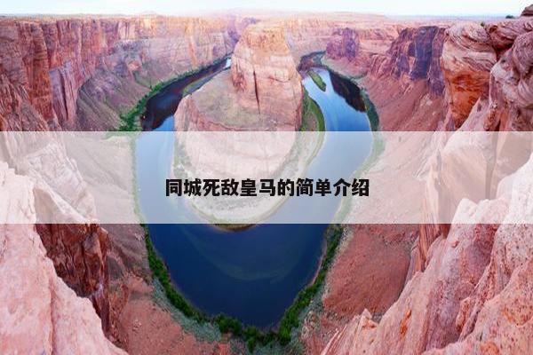 同城死敌皇马的简单介绍