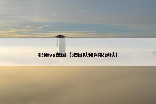 根挺vs法国（法国队和阿根廷队）