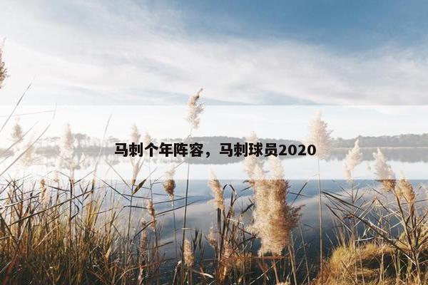 马刺个年阵容，马刺球员2020