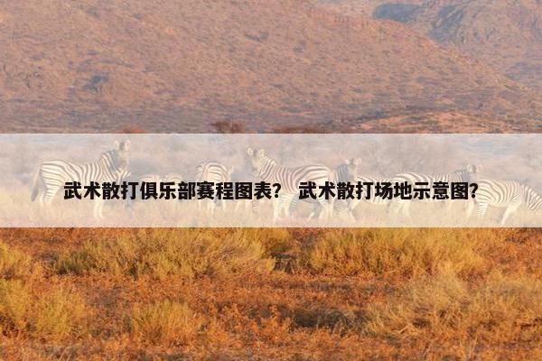 武术散打俱乐部赛程图表？ 武术散打场地示意图？