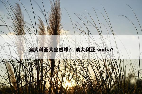 澳大利亚大宝进球？ 澳大利亚 wnba？