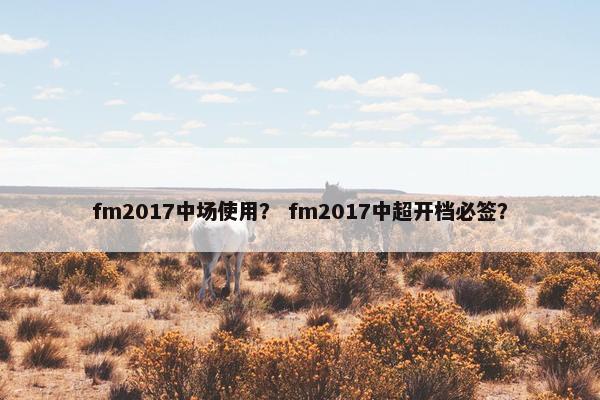 fm2017中场使用？ fm2017中超开档必签？
