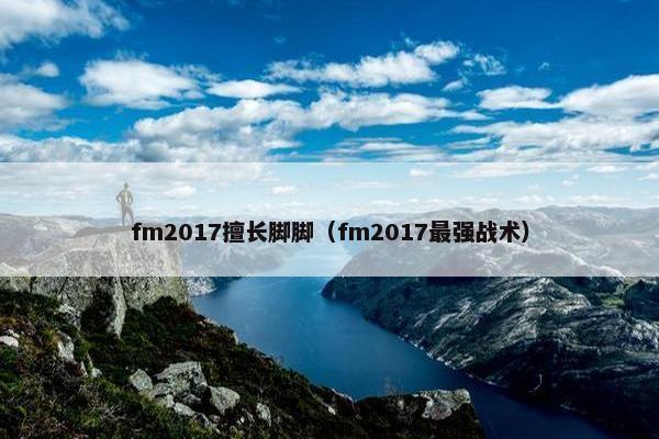 fm2017擅长脚脚（fm2017最强战术）