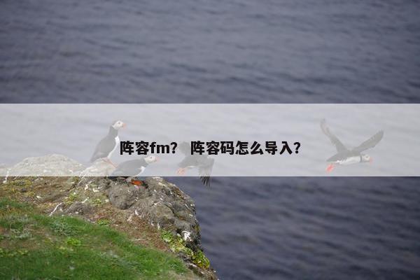 阵容fm？ 阵容码怎么导入？