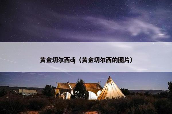 黄金切尔西dj（黄金切尔西的图片）