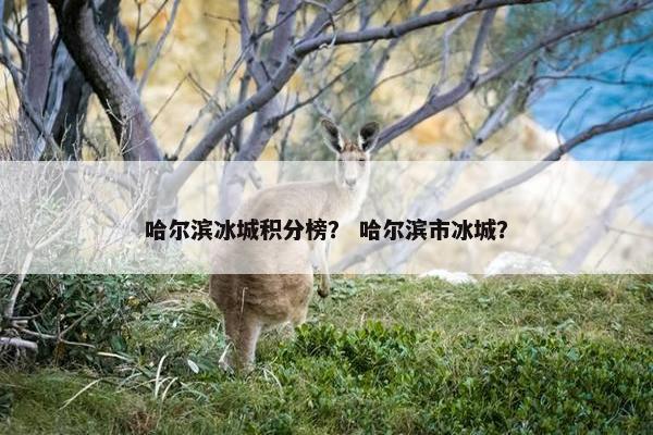 哈尔滨冰城积分榜？ 哈尔滨市冰城？