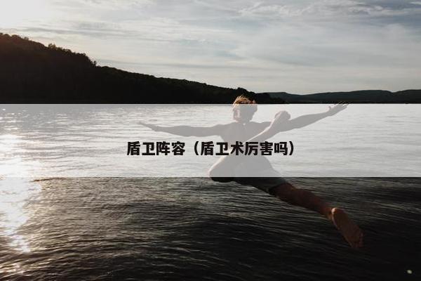 盾卫阵容（盾卫术厉害吗）