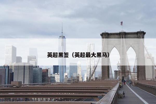 英超黑签（英超最大黑马）