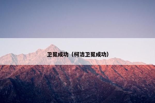 卫冕成功（柯洁卫冕成功）