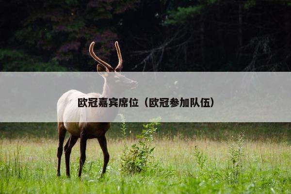 欧冠嘉宾席位（欧冠参加队伍）