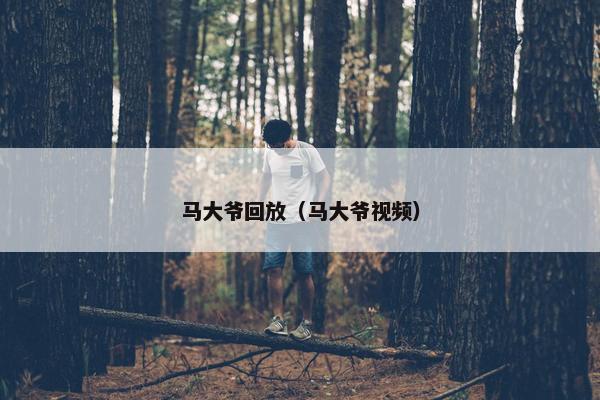 马大爷回放（马大爷视频）