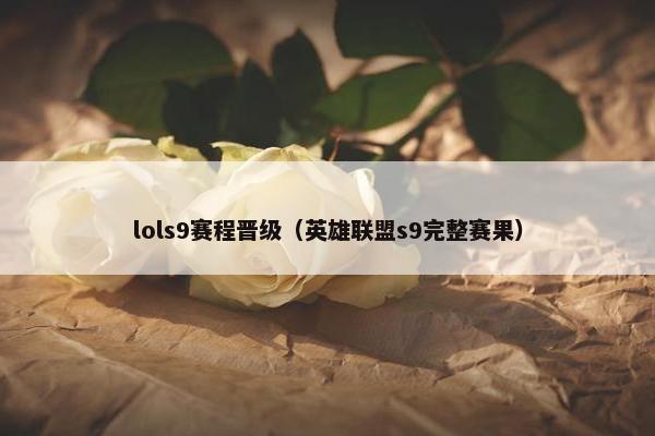 lols9赛程晋级（英雄联盟s9完整赛果）