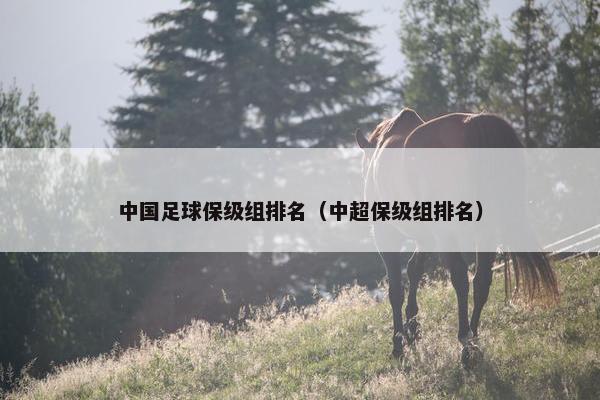 中国足球保级组排名（中超保级组排名）