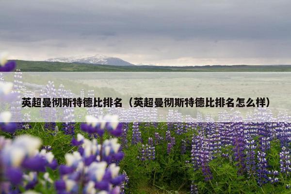 英超曼彻斯特德比排名（英超曼彻斯特德比排名怎么样）