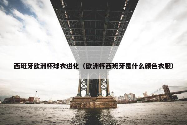 西班牙欧洲杯球衣进化（欧洲杯西班牙是什么颜色衣服）