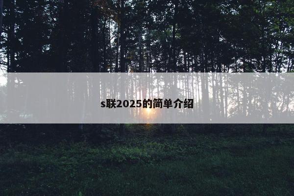s联2025的简单介绍