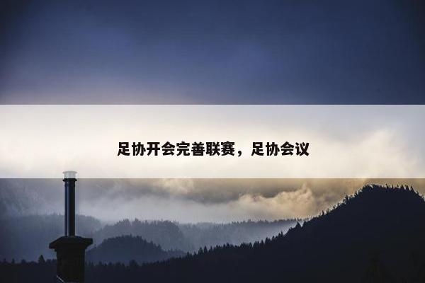 足协开会完善联赛，足协会议