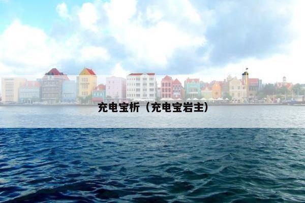 充电宝析（充电宝岩主）