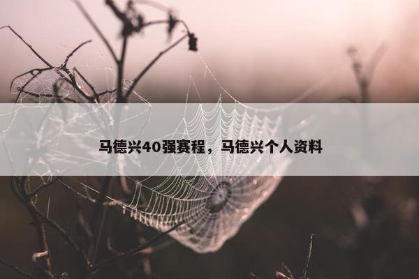 马德兴40强赛程，马德兴个人资料