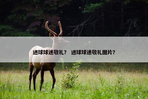 进球球迷敬礼？ 进球球迷敬礼图片？