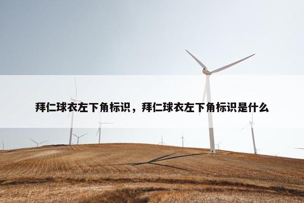 拜仁球衣左下角标识，拜仁球衣左下角标识是什么