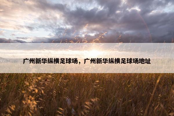 广州新华纵横足球场，广州新华纵横足球场地址