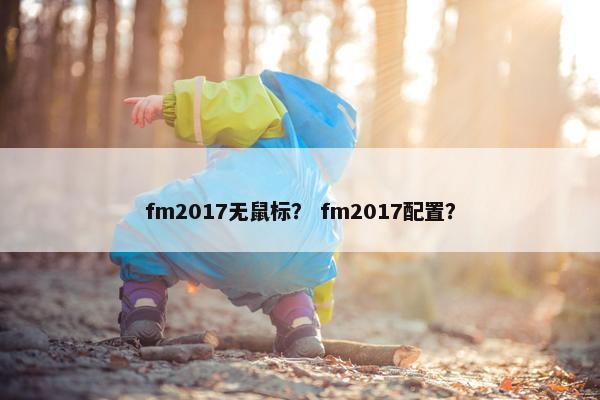 fm2017无鼠标？ fm2017配置？