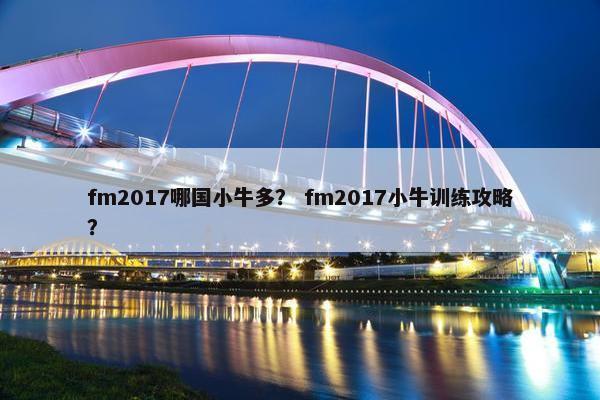 fm2017哪国小牛多？ fm2017小牛训练攻略？