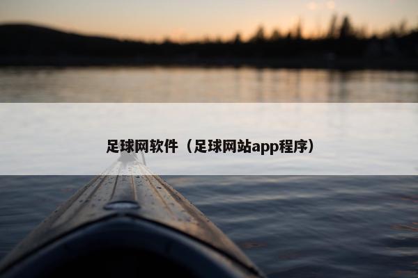 足球网软件（足球网站app程序）