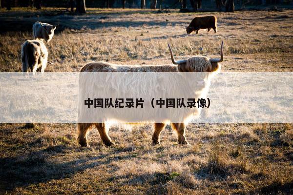 中国队纪录片（中国队录像）