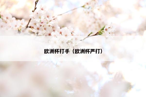 欧洲杯打手(欧洲杯严打) 欧洲杯打手(欧洲杯严打)