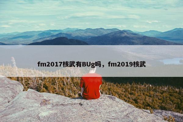 fm2017核武有BUg吗，fm2019核武