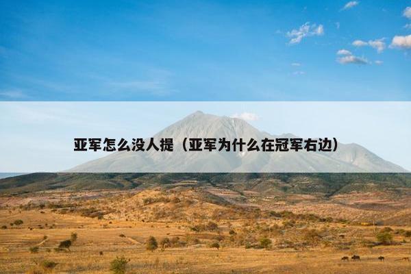 亚军怎么没人提（亚军为什么在冠军右边）