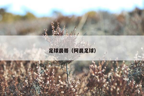足球晨哥（阿晨足球）