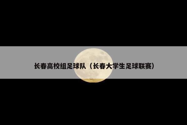 长春高校组足球队（长春大学生足球联赛）