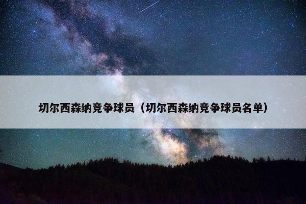 切尔西森纳竞争球员（切尔西森纳竞争球员名单）