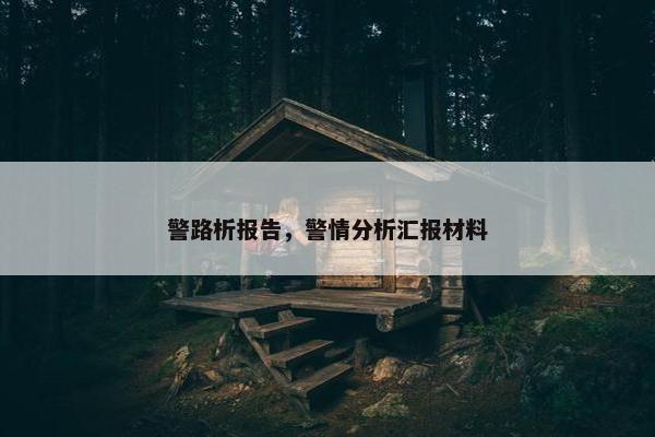 警路析报告，警情分析汇报材料
