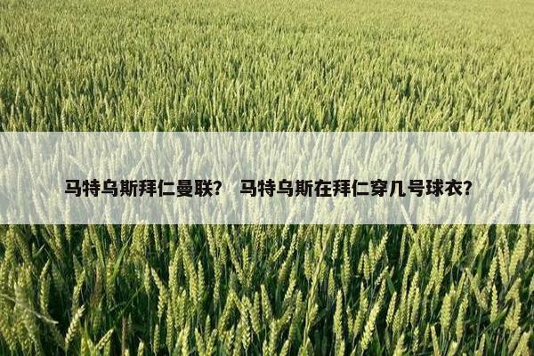 马特乌斯拜仁曼联？ 马特乌斯在拜仁穿几号球衣？