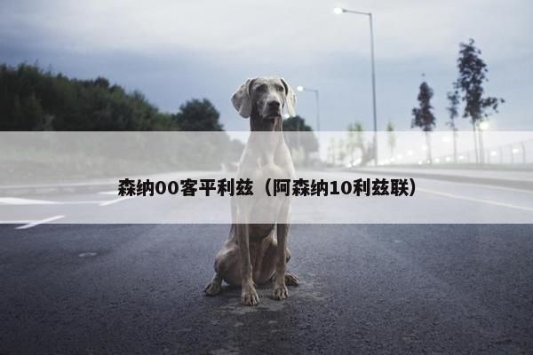 森纳00客平利兹（阿森纳10利兹联）