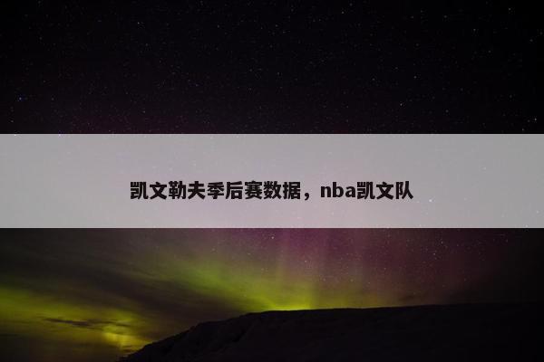 凯文勒夫季后赛数据，nba凯文队