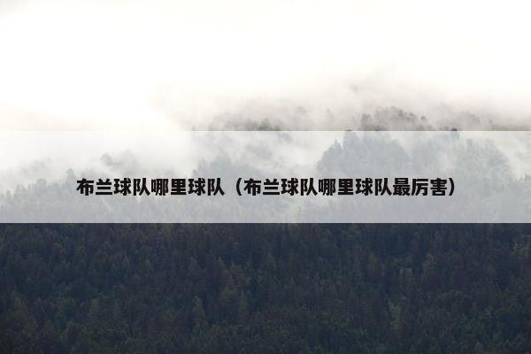 布兰球队哪里球队（布兰球队哪里球队最厉害）