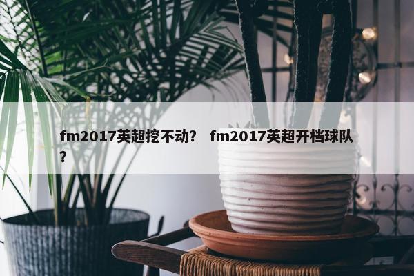 fm2017英超挖不动？ fm2017英超开档球队？