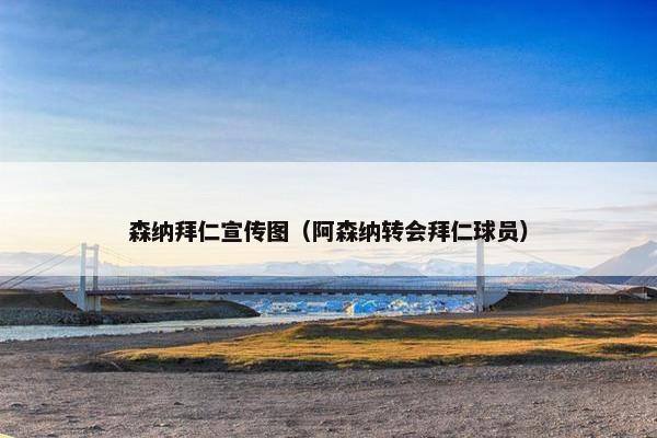 森纳拜仁宣传图（阿森纳转会拜仁球员）