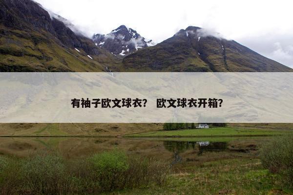 有袖子欧文球衣？ 欧文球衣开箱？