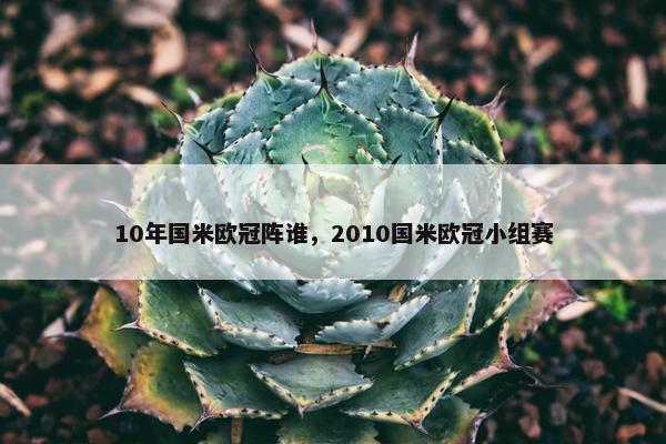 10年国米欧冠阵谁，2010国米欧冠小组赛